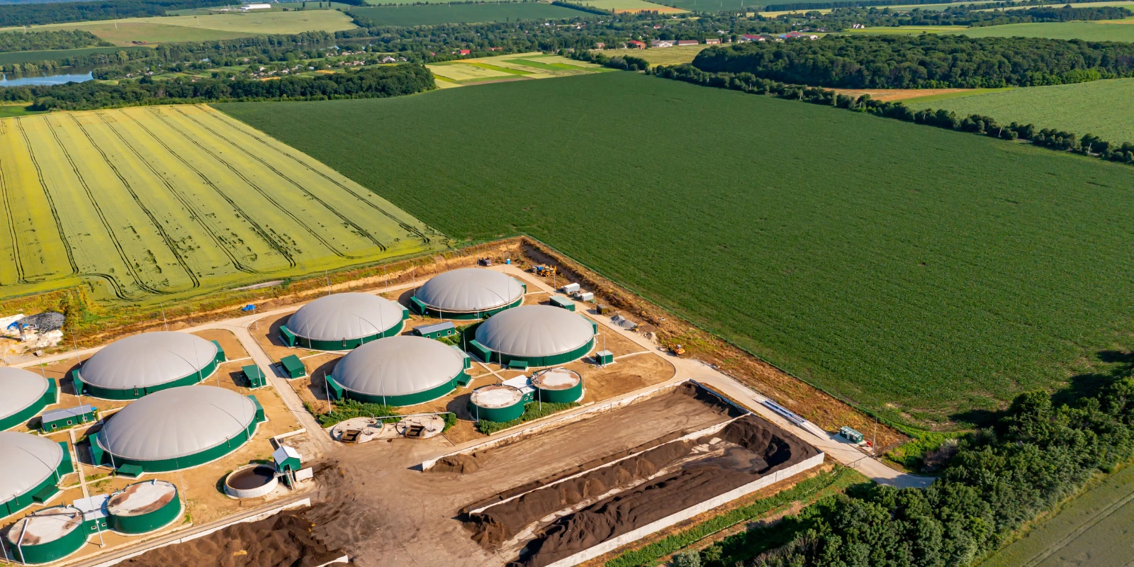 Biogas strategic market participation